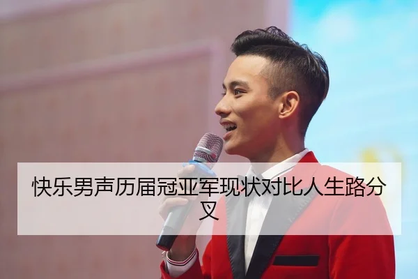 快乐男声历届冠亚军现状对比人生路分叉