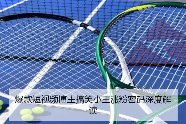 爆款短视频博主搞笑小王涨粉密码深度解读